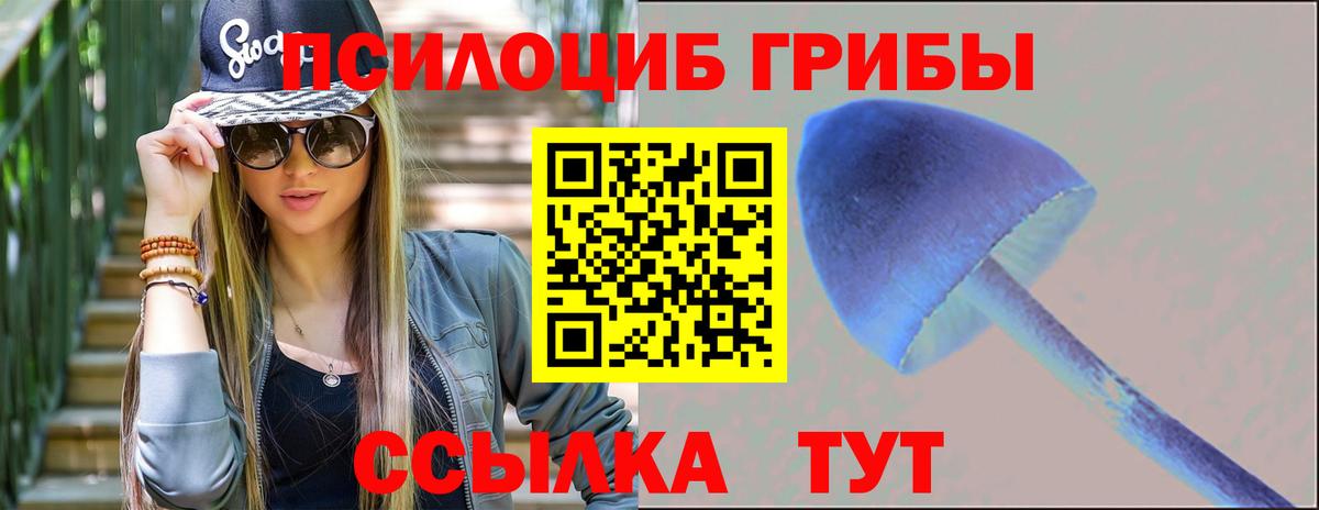 Галлюциногенные грибы мицелий  Вход с VPN  что такое   Великие Луки  Псилоцибиновые грибы прущие грибы 