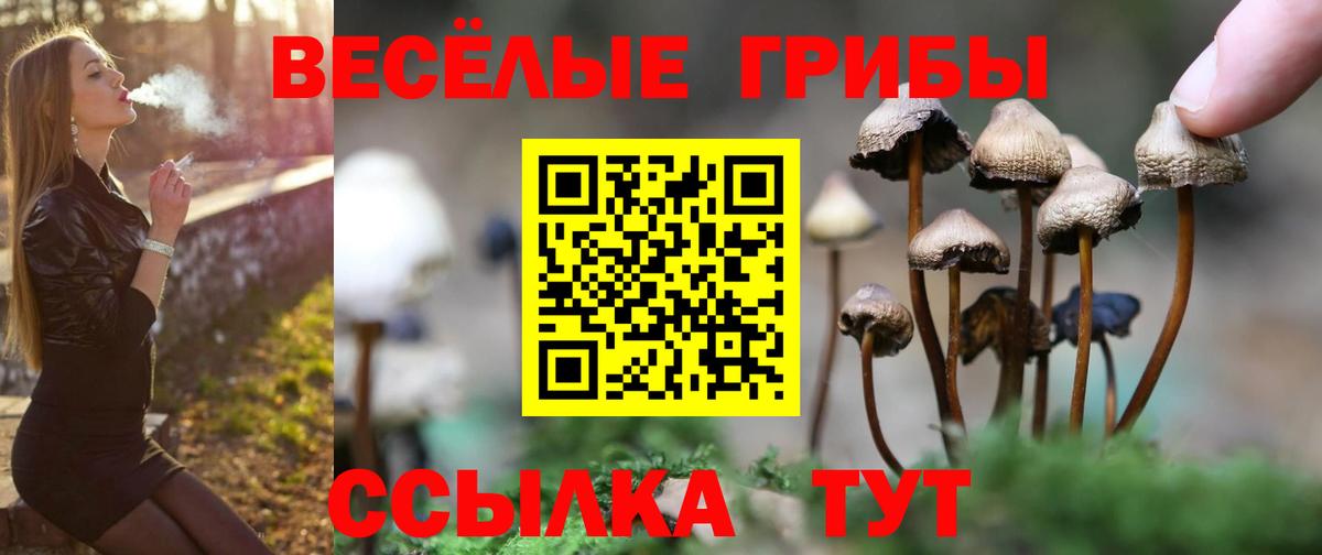 Галлюциногенные грибы мухоморы Великие Луки